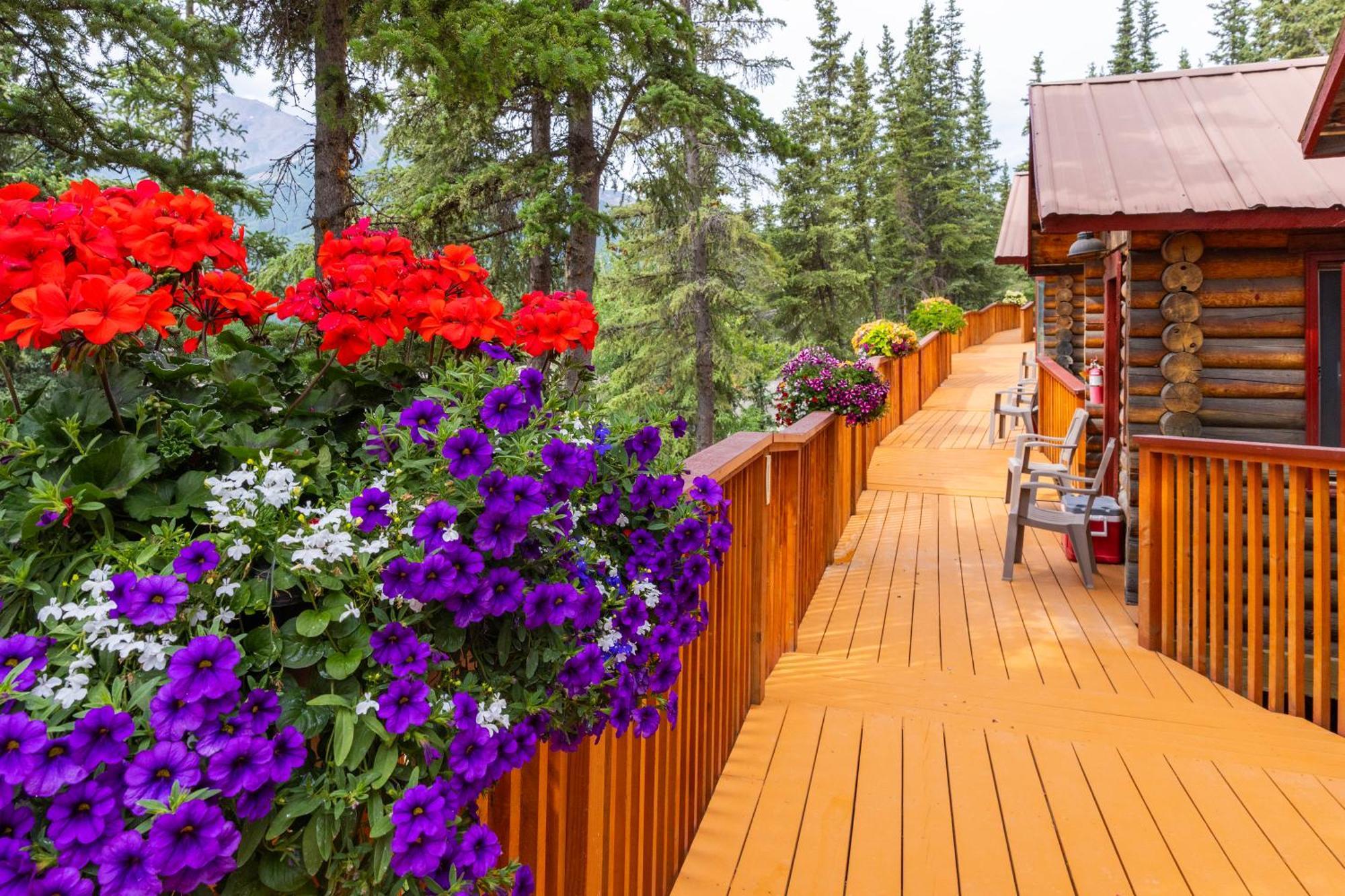 Denali Crow'S Nest Cabins Denali Park Экстерьер фото