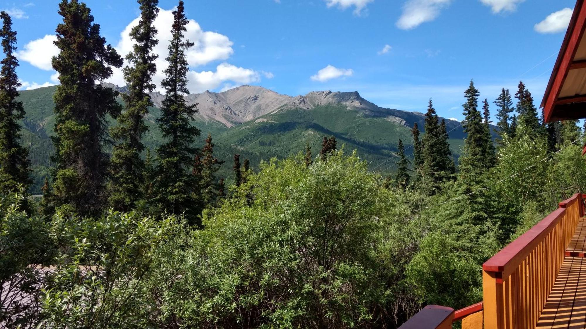 Denali Crow'S Nest Cabins Denali Park Экстерьер фото
